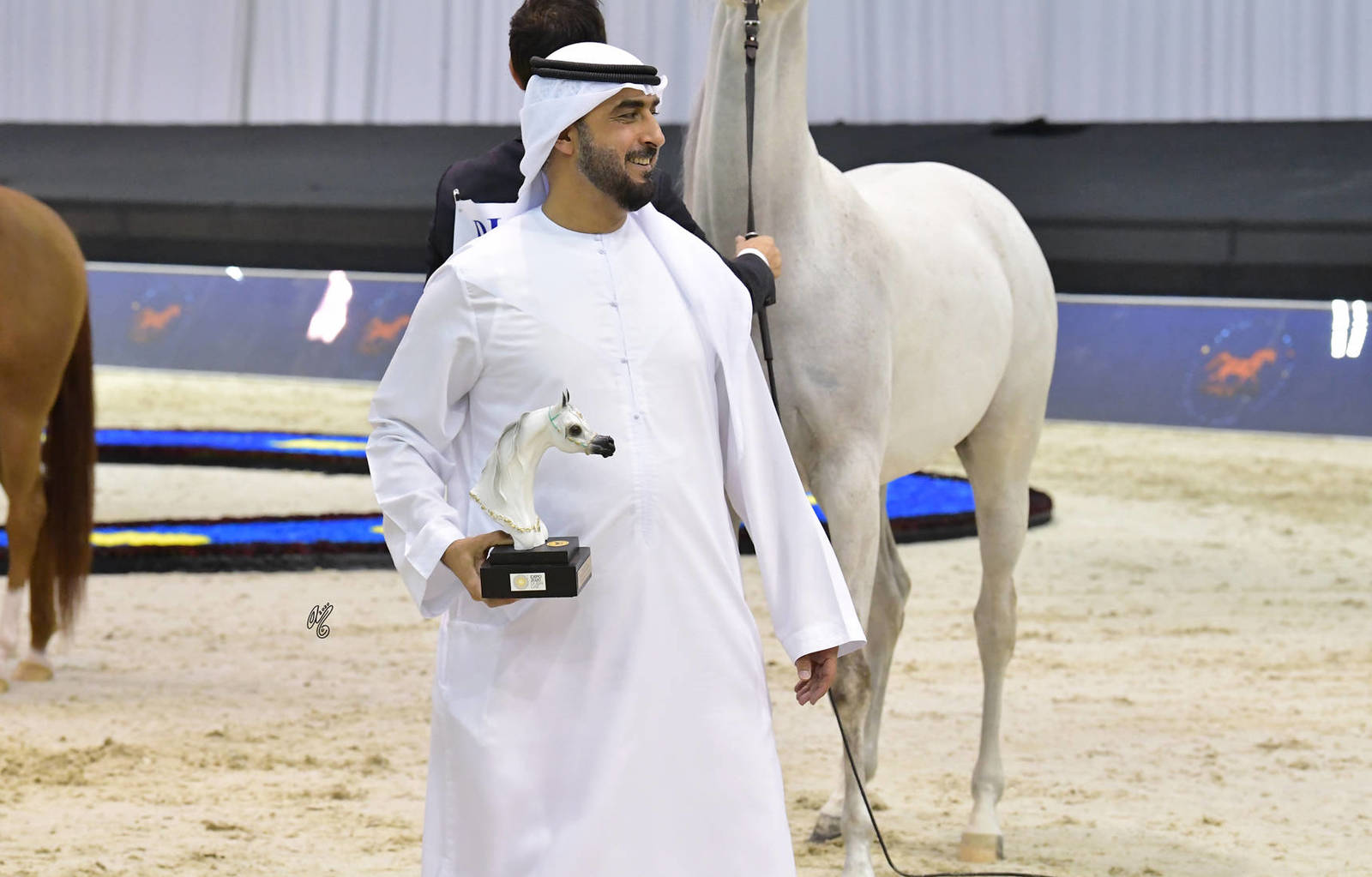 Lisa Abraham: The 2020 Dubai International Arabian Horse Championship PHOTO GALLERY