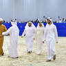 Lisa Abraham: The 2020 Dubai International Arabian Horse Championship PHOTO GALLERY