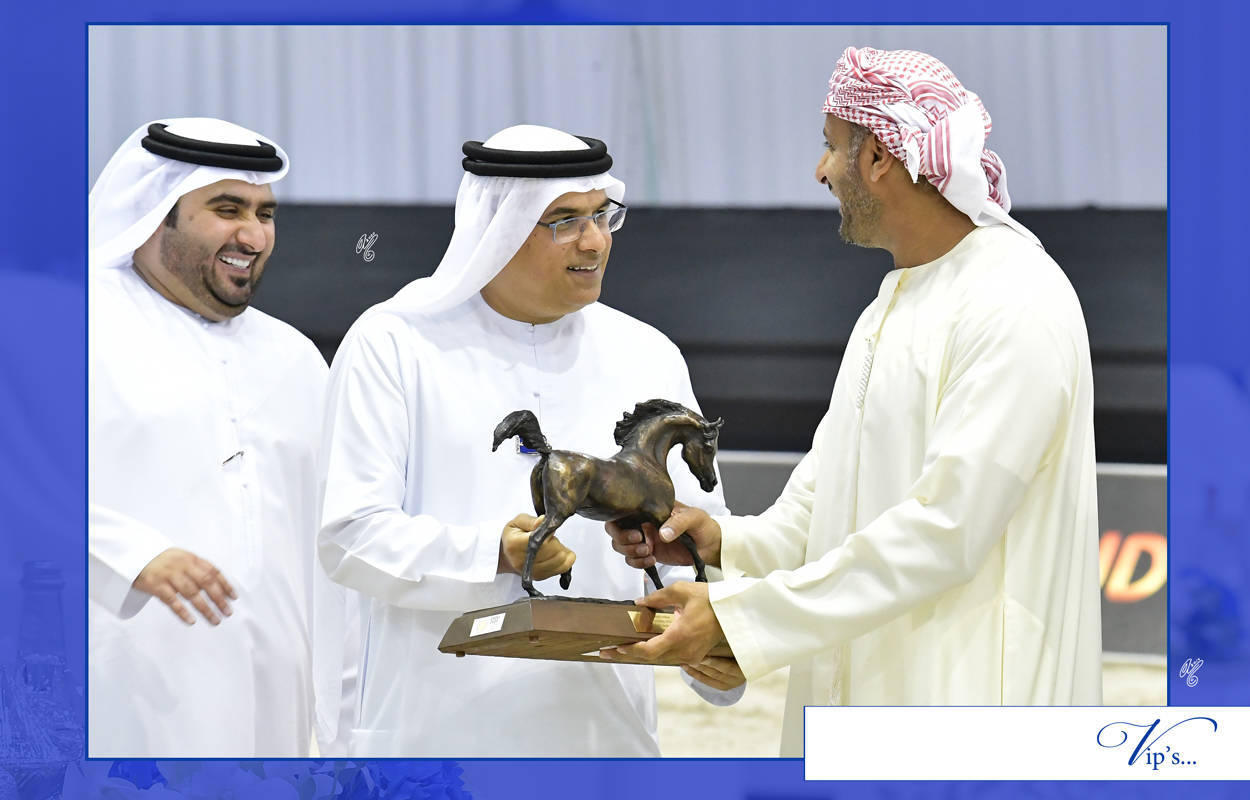 Lisa Abraham: The 2020 Dubai International Arabian Horse Championship PHOTO GALLERY