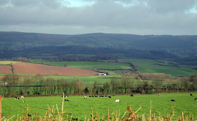 2005 England, West Exmoor 