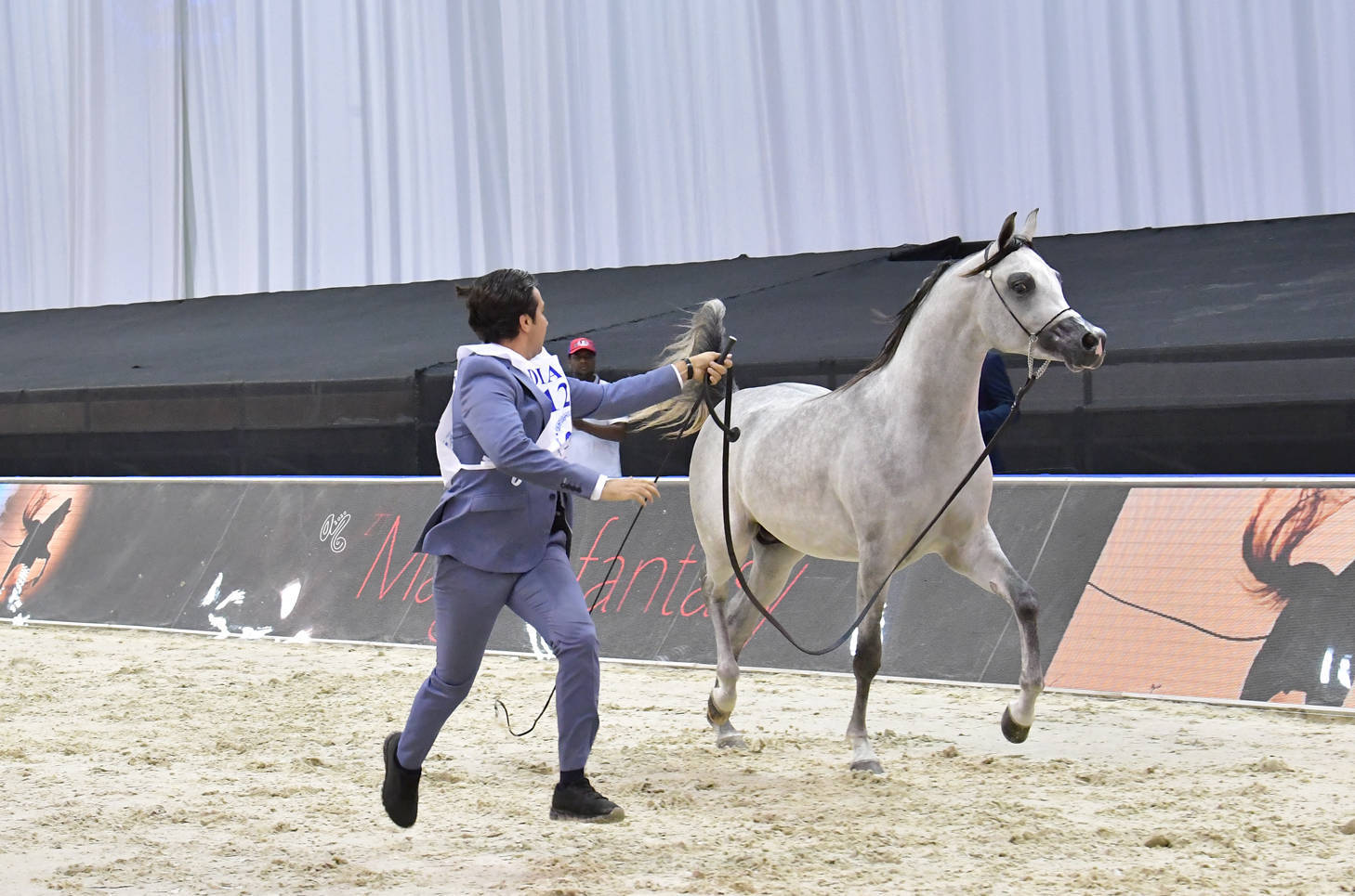 Colts 2 Years Old: Fakher Albateen 