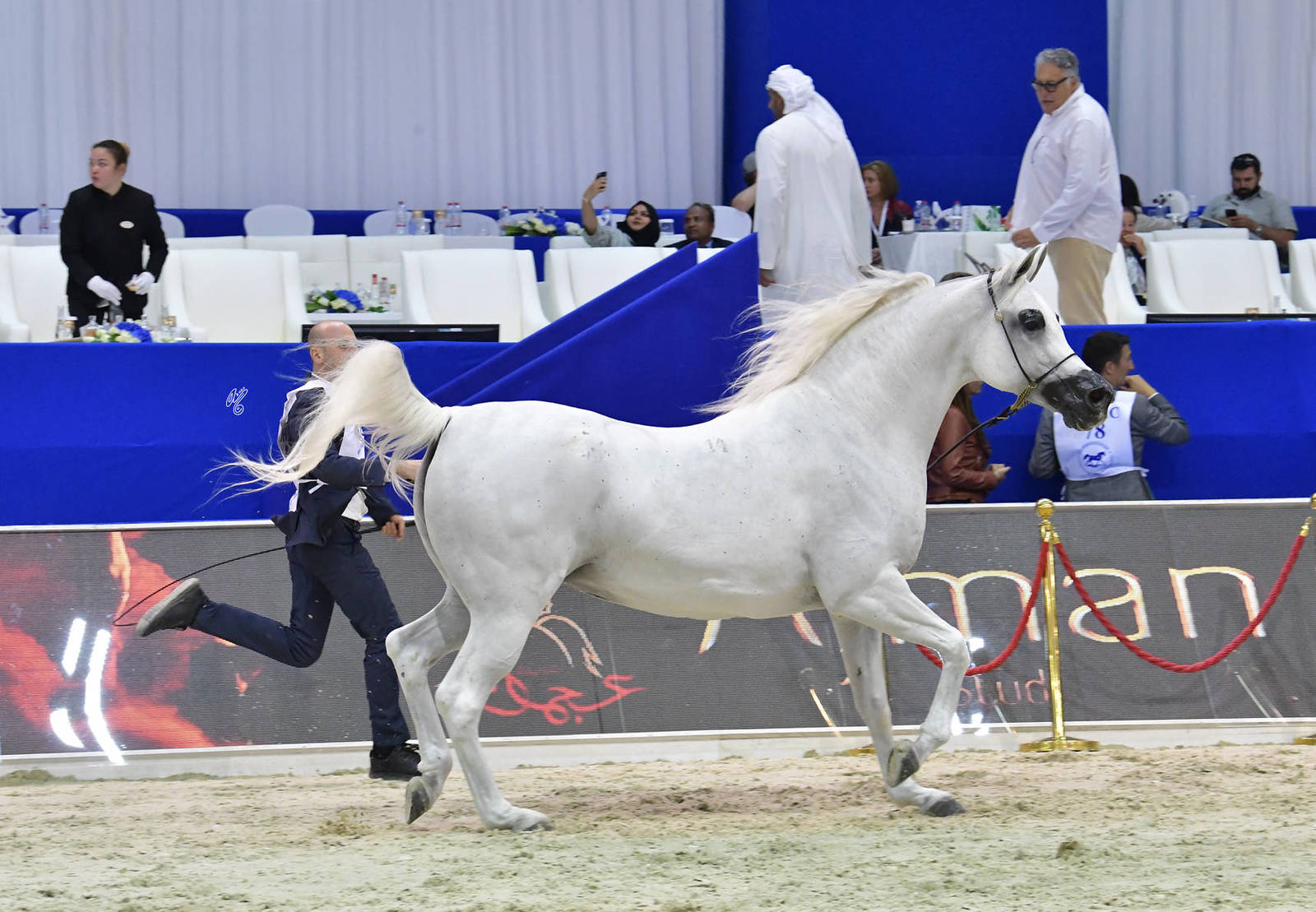 Mares 10 Years And More: Pustynna Fiesta 