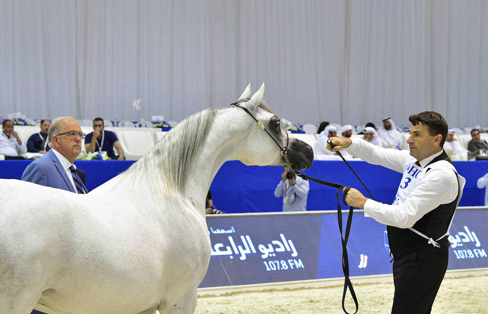 Mares 10 Years And More: Ametista Al Jade 