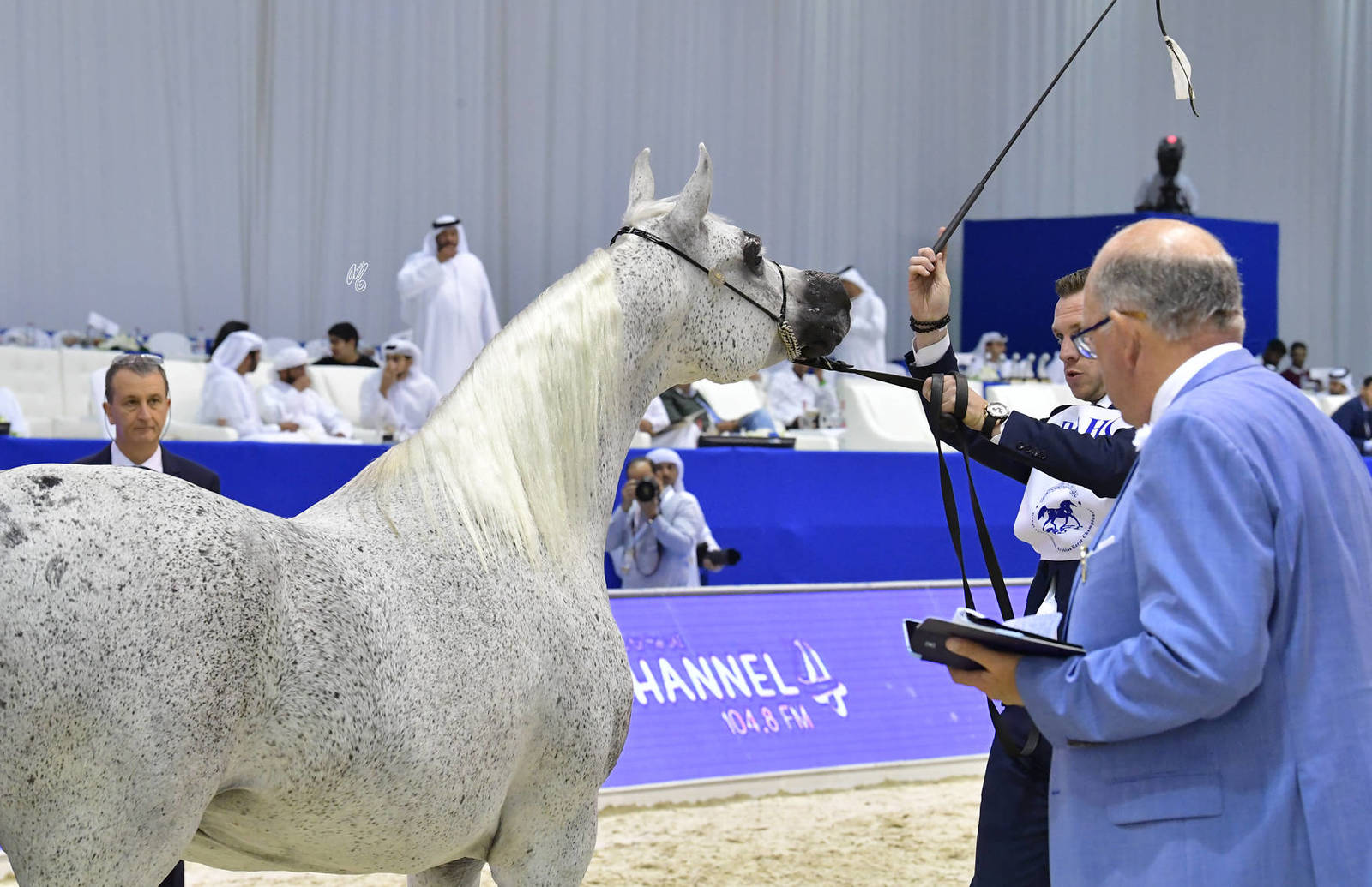 Mares 10 Years And More: Wabia 