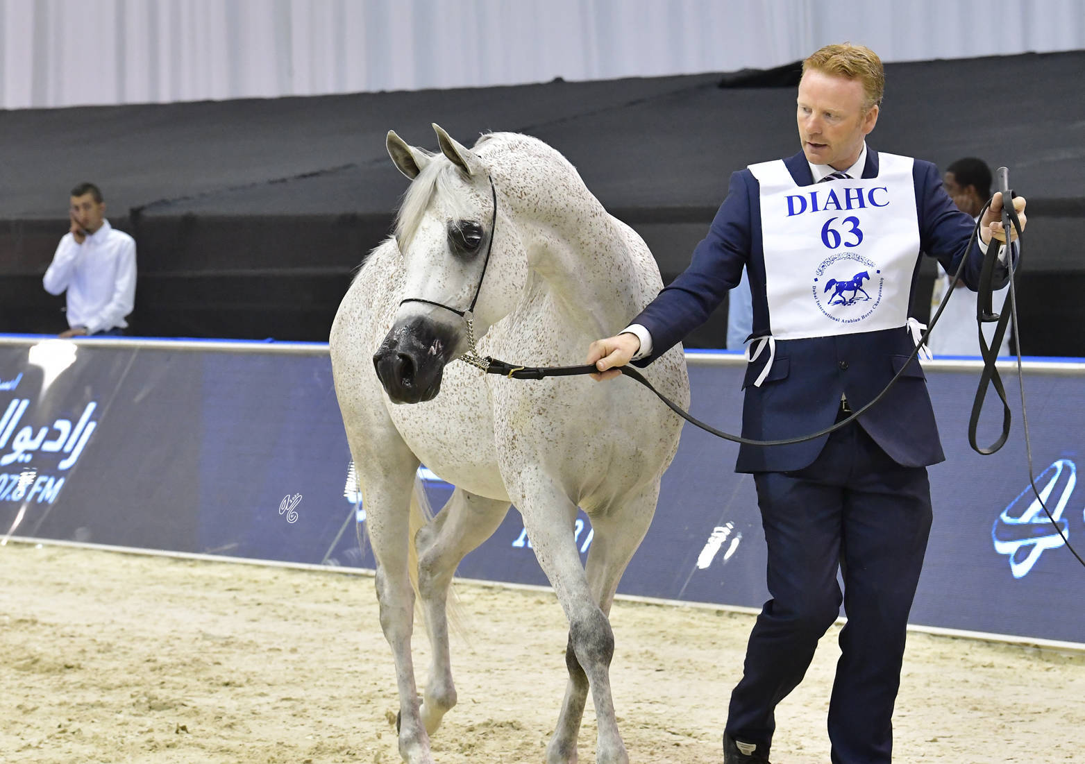 Mares 4-6 Years Old: SS Farah Olivia