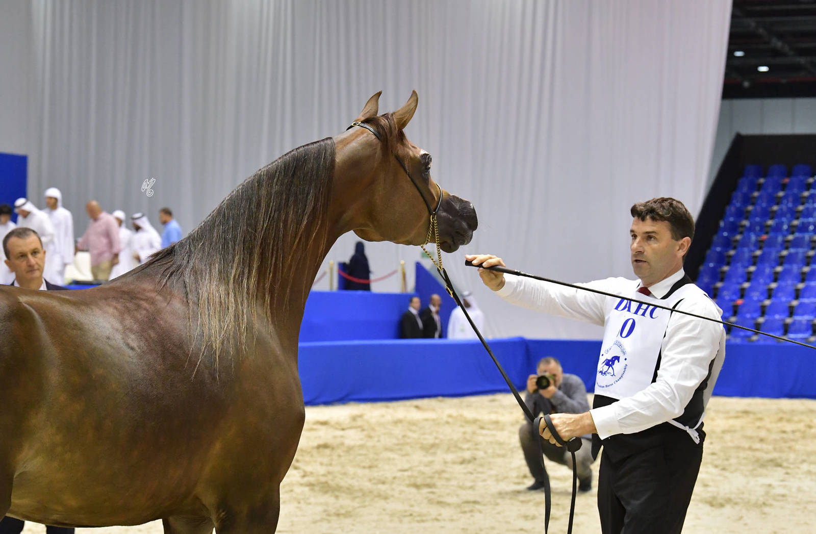 Fillies 3 Years Old: AJ Barakah 