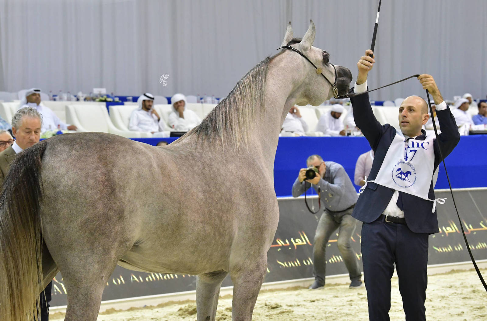 Fillies 2 Years Old: SQ Gharam 