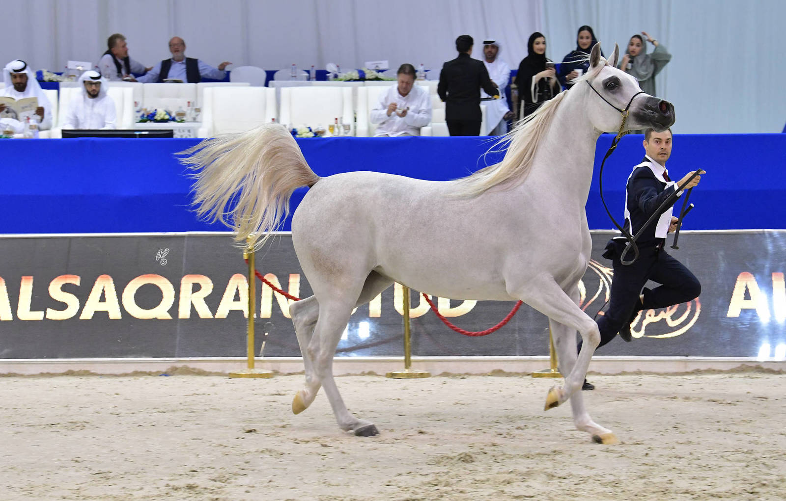 Fillies 2 Years Old: D Fannanah 