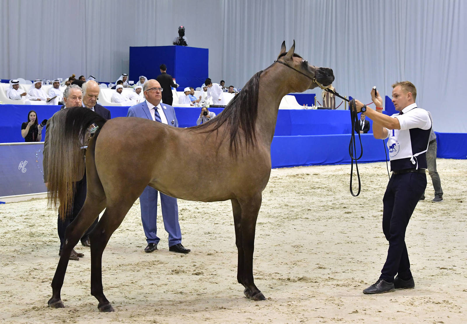 Fillies 2 Years Old: Rabooba Al Hawajer 