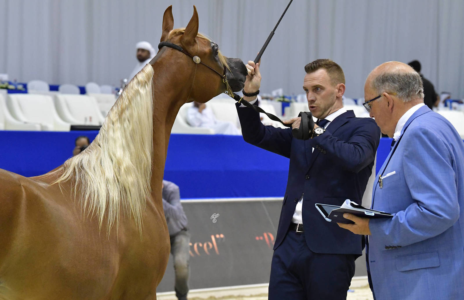 Yearling Filly: Shumoos Al Hawajer 