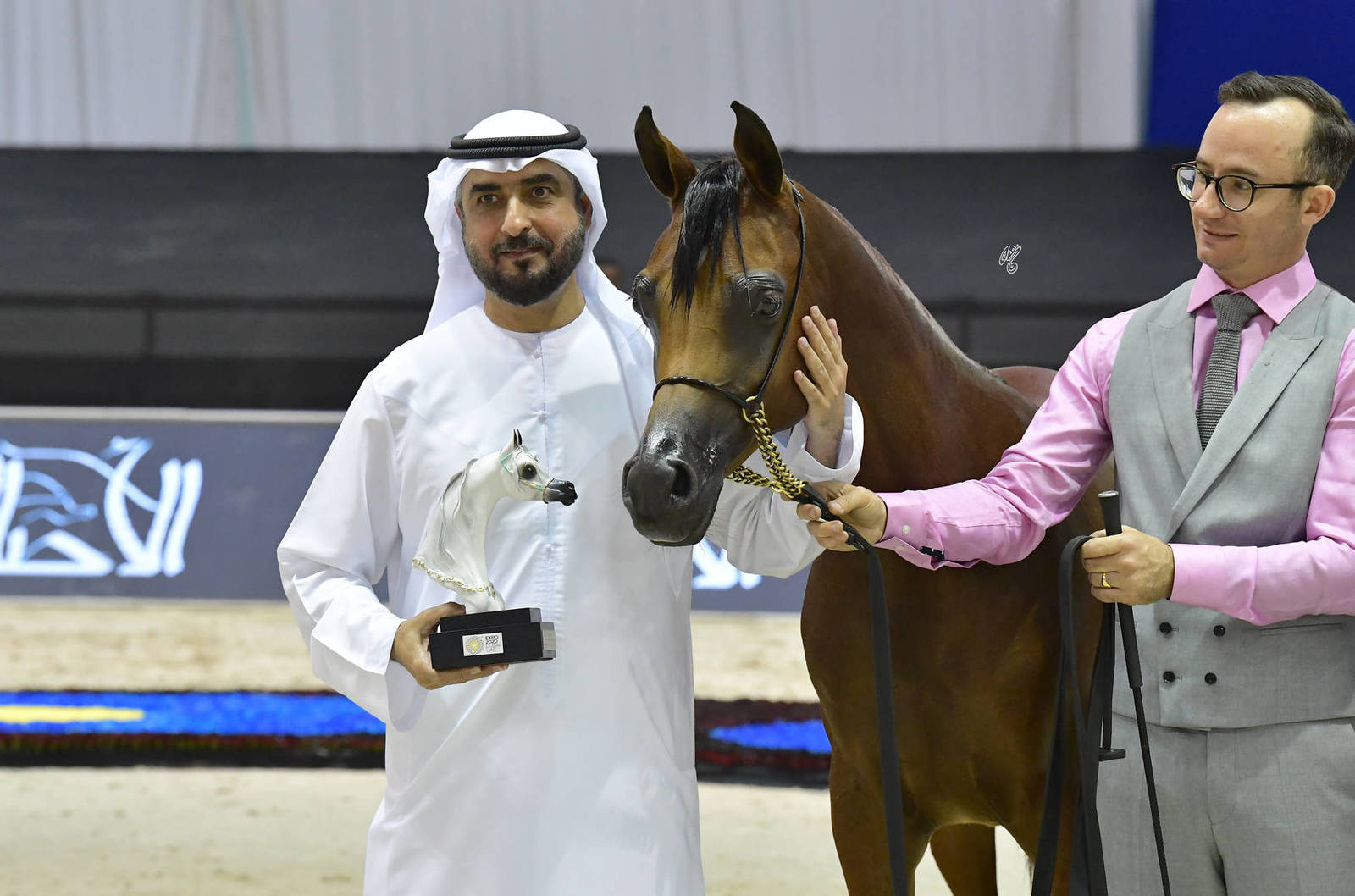 Yearling Filly: Ward Al Bidayer 