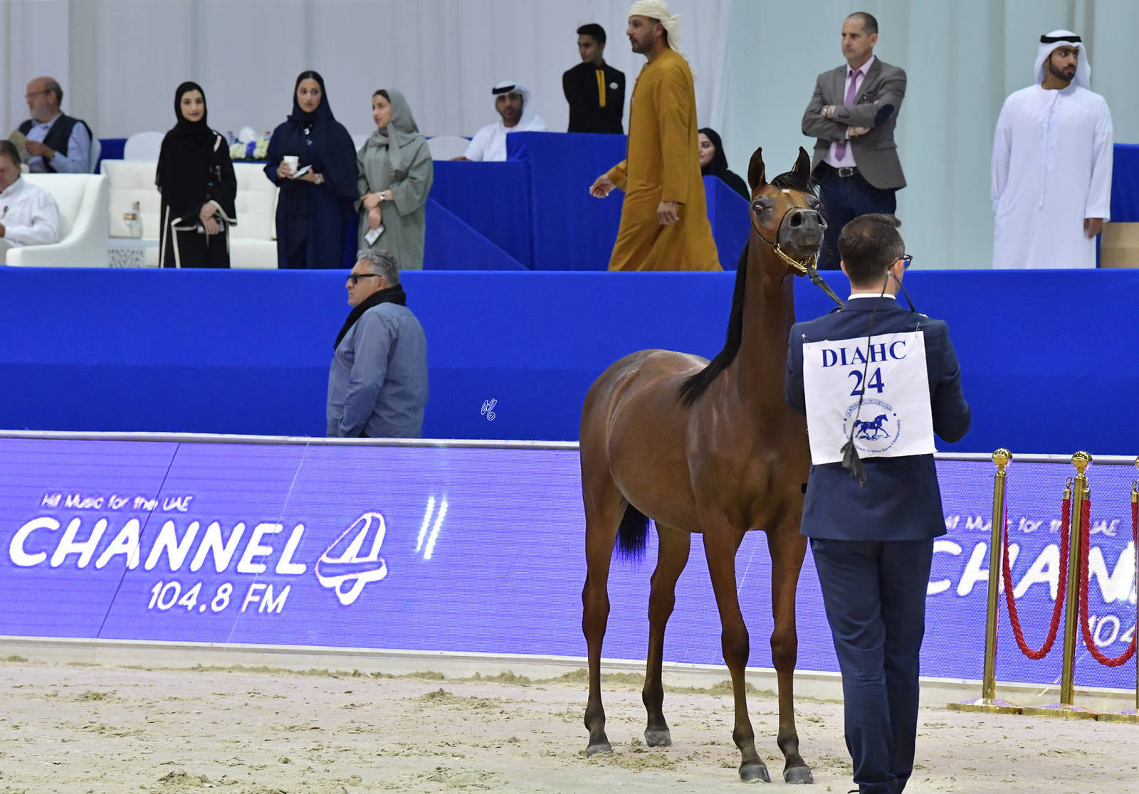 Yearling Filly: Ward Al Bidayer 