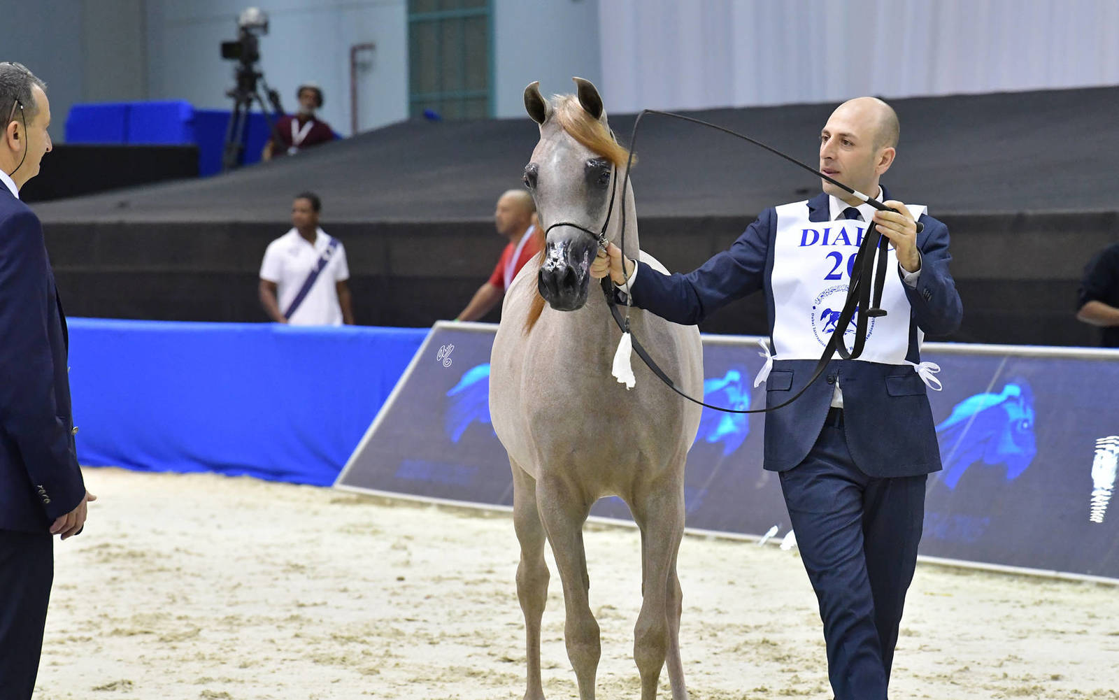 Yearling Filly: SQ Al Jaouhra