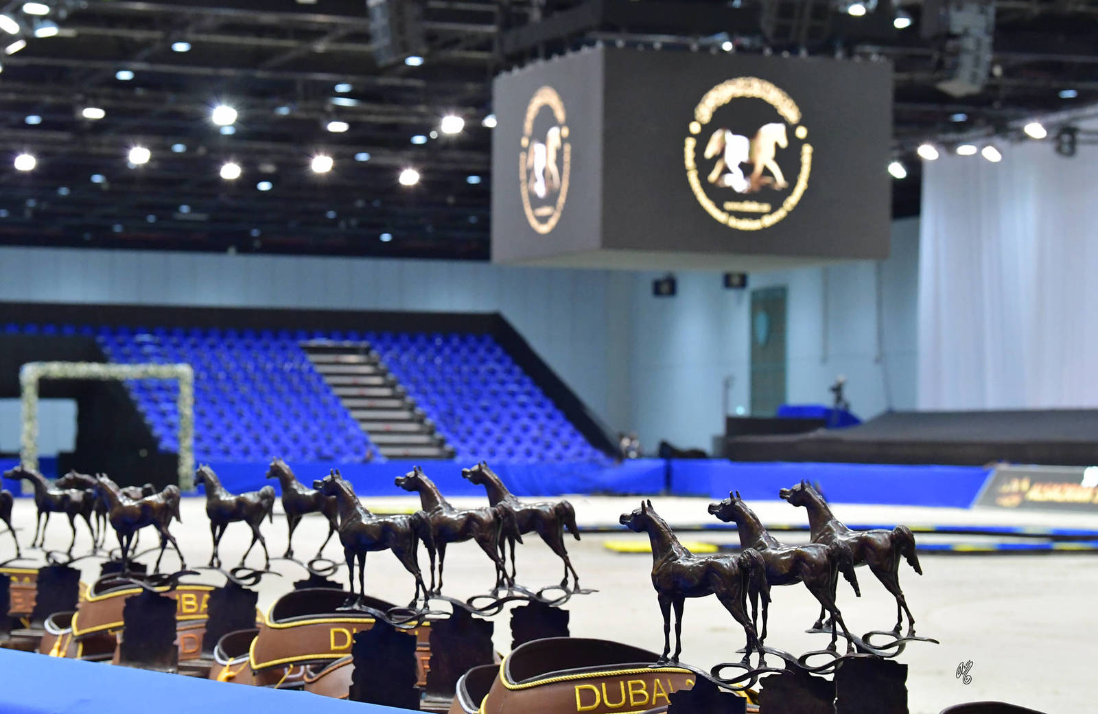 Lisa Abraham: The 2020 Dubai International Arabian Horse Championship PHOTO GALLERY