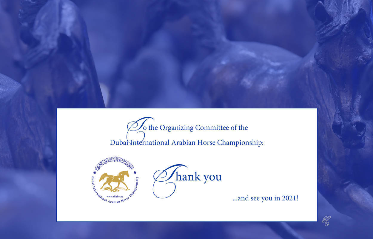 Lisa Abraham: The 2020 Dubai International Arabian Horse Championship PHOTO GALLERY
