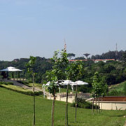 The magnificent preview ring atHaras Vila Dos Pinheiros