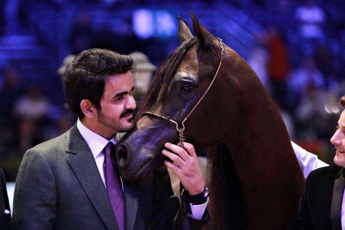 Qatar: A Country Always Moving Forward