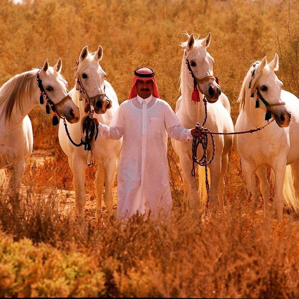 Qatar: A Country Always Moving Forward