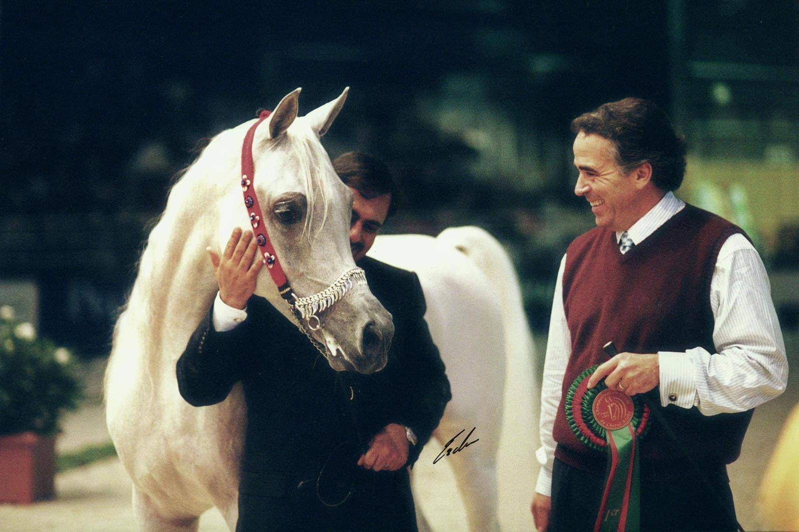 Qatar: A Country Always Moving Forward