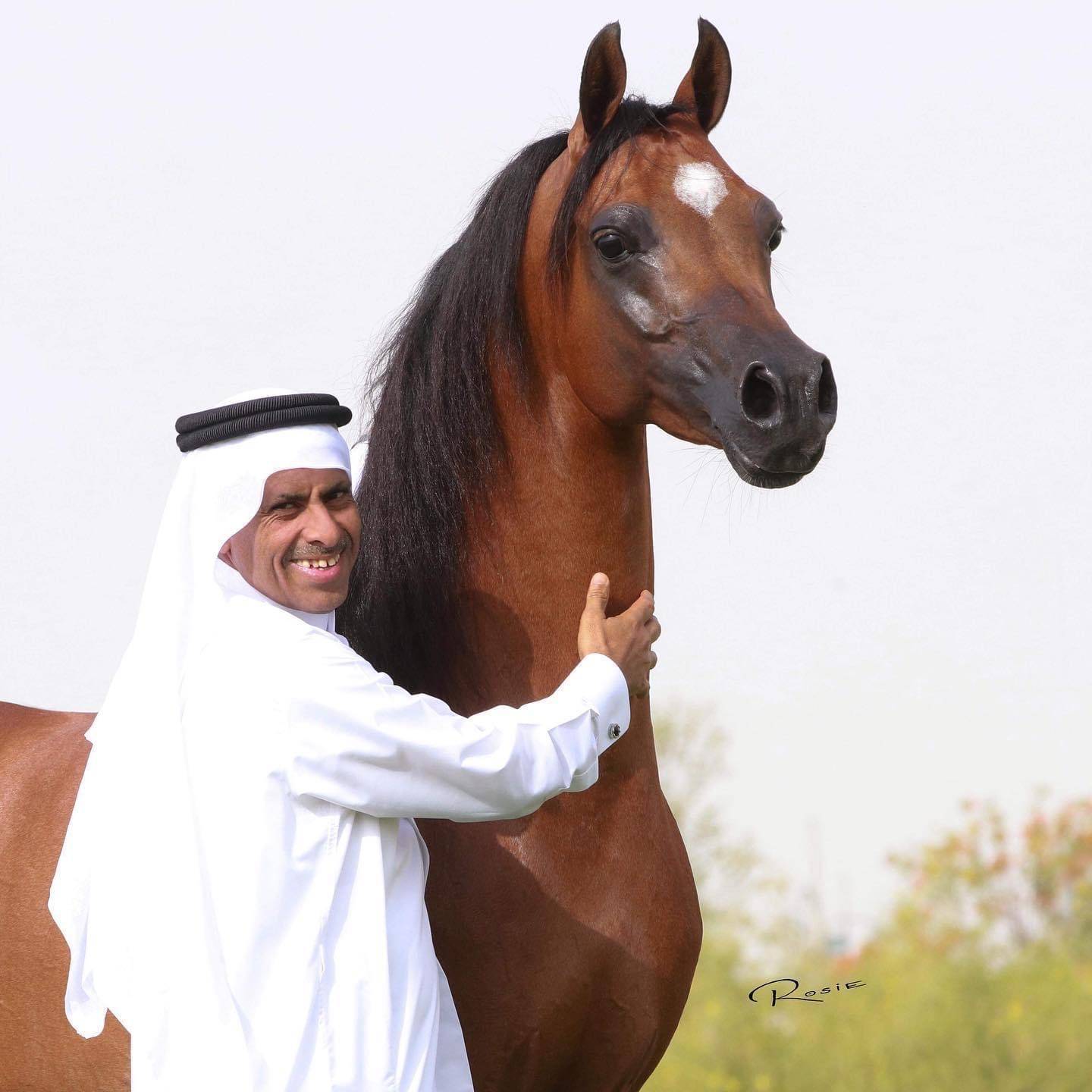 Qatar: A Country Always Moving Forward