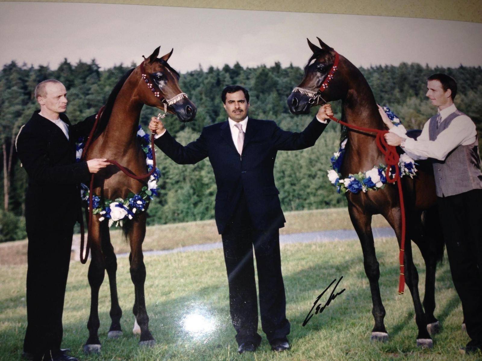 Qatar: A Country Always Moving Forward