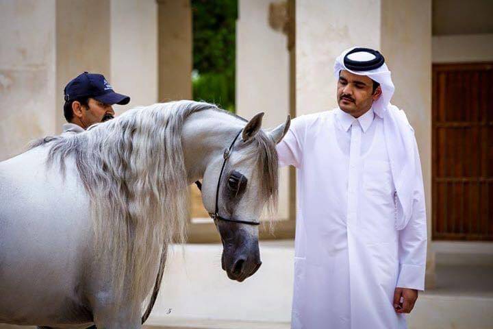 Qatar: A Country Always Moving Forward