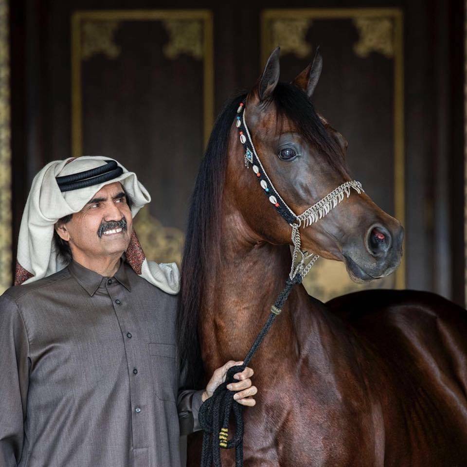 Qatar: A Country Always Moving Forward