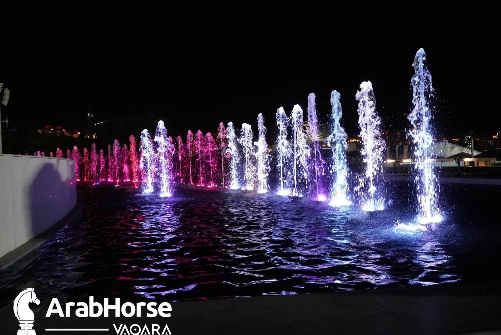 Title Show begins as part of Katara International Arabian Horse Festival