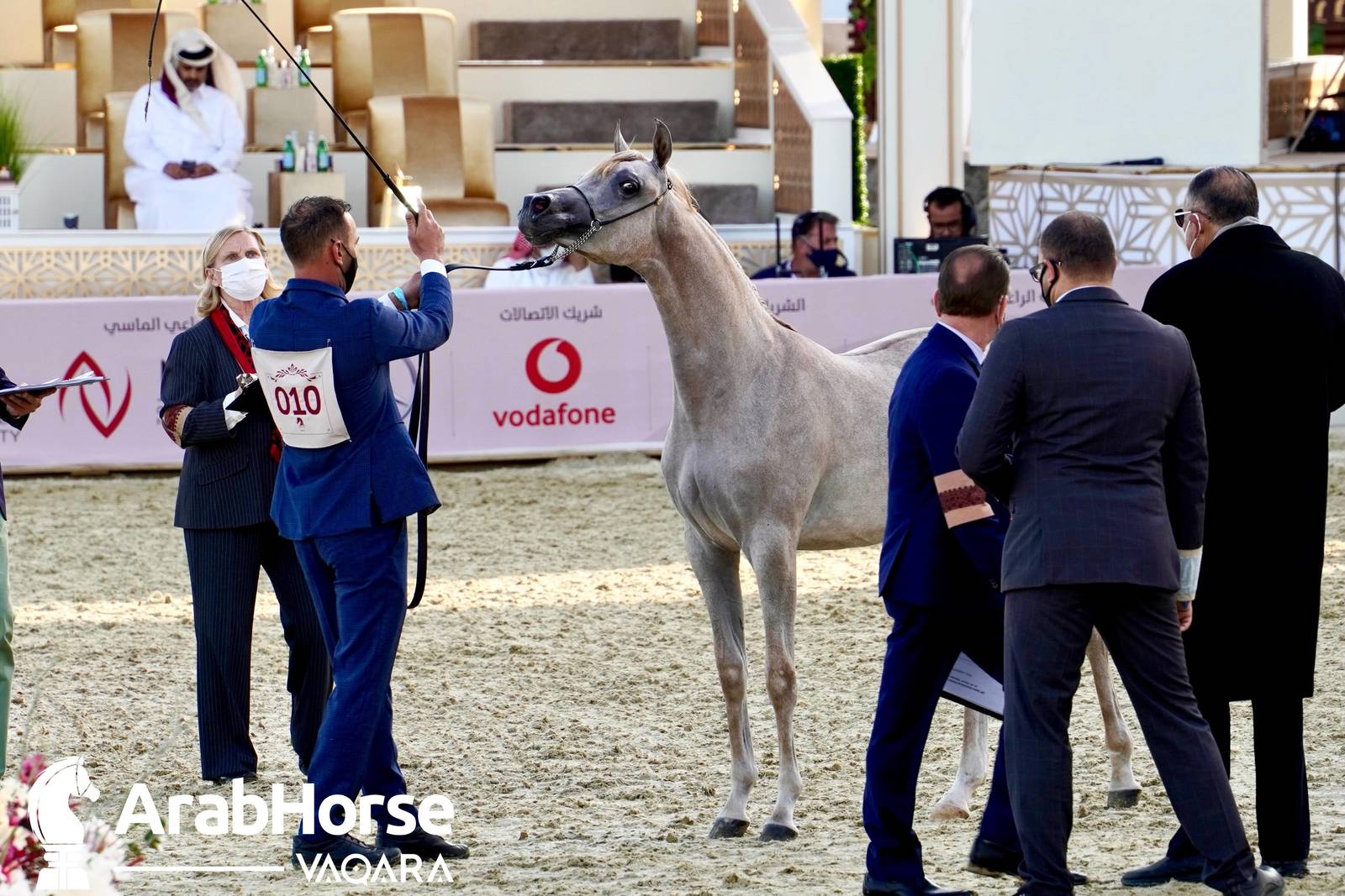 Title Show begins as part of Katara International Arabian Horse Festival