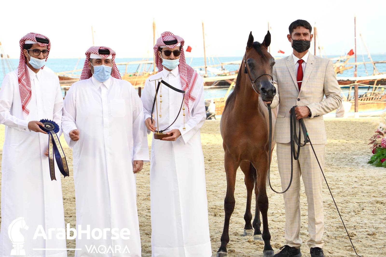 Title Show begins as part of Katara International Arabian Horse Festival