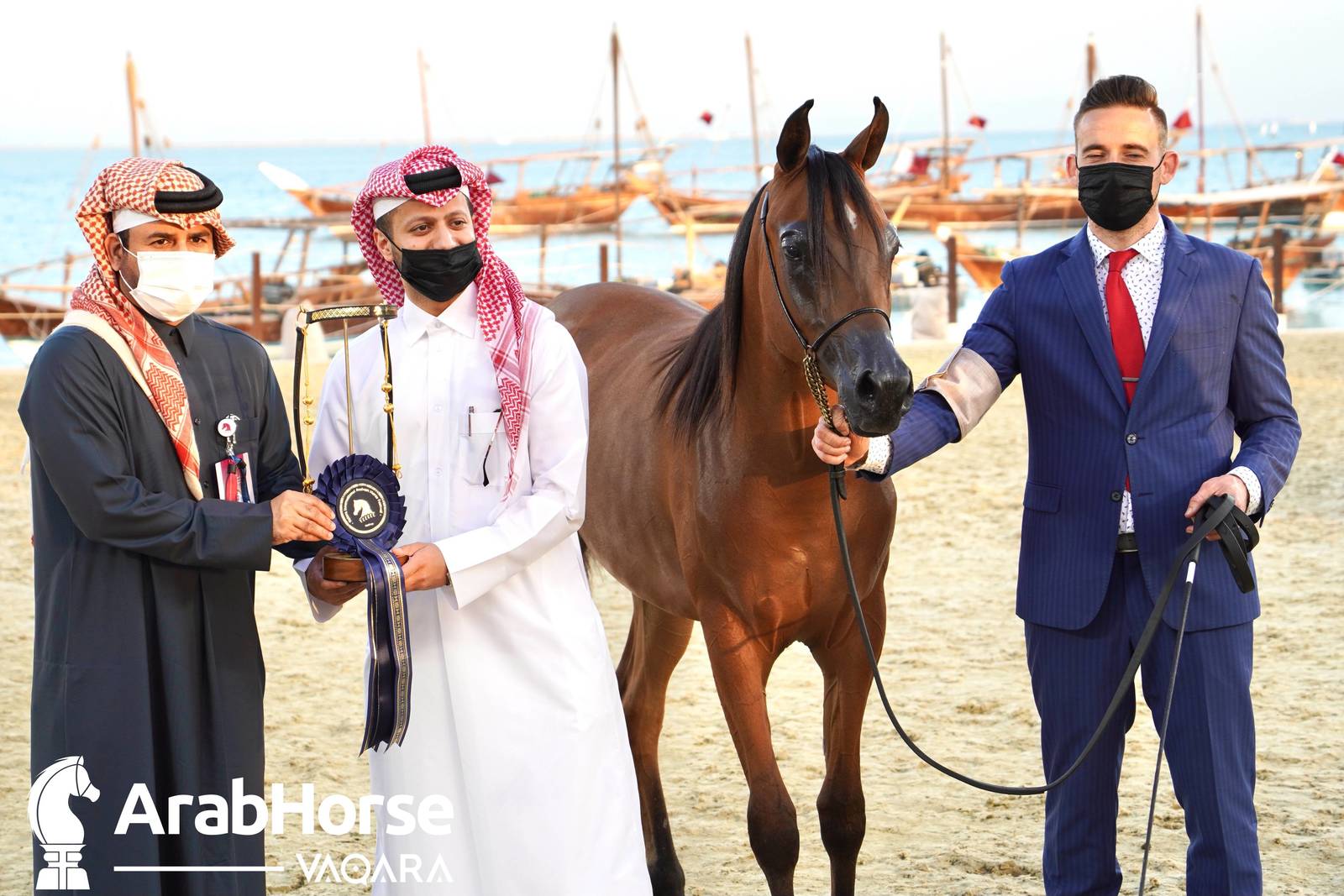 Title Show begins as part of Katara International Arabian Horse Festival