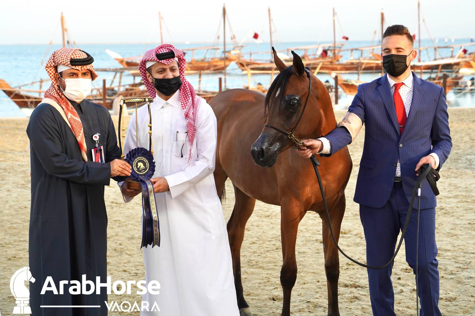 Title Show begins as part of Katara International Arabian Horse Festival