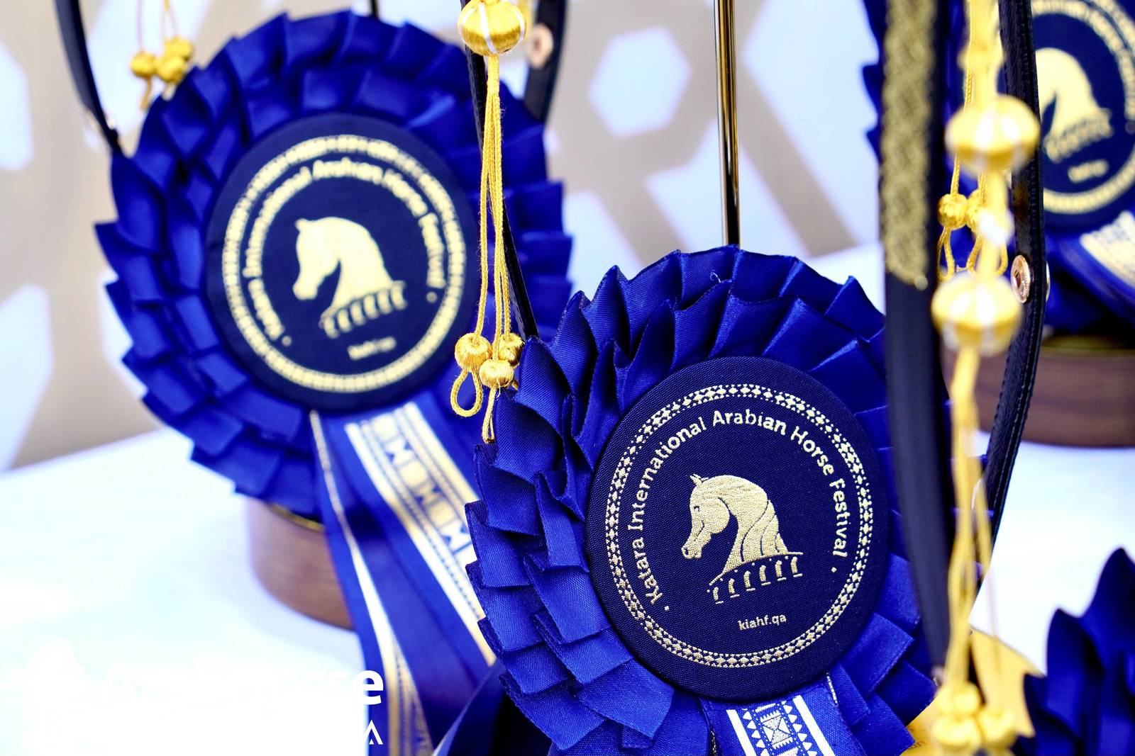Title Show begins as part of Katara International Arabian Horse Festival