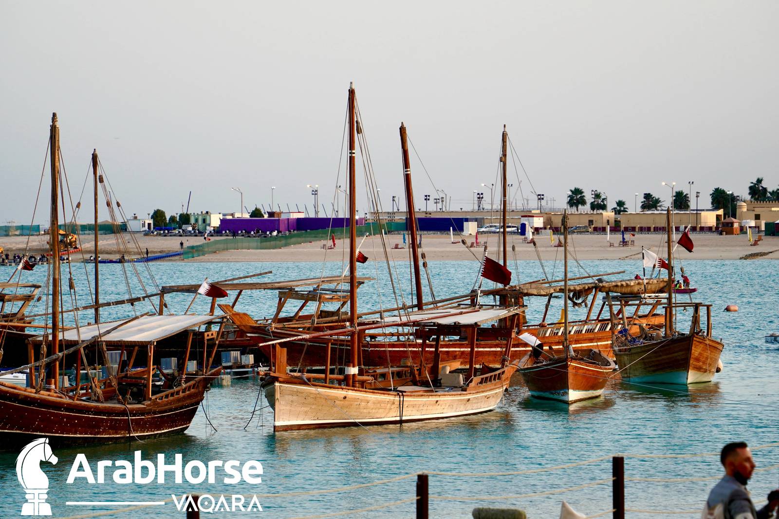 Title Show begins as part of Katara International Arabian Horse Festival