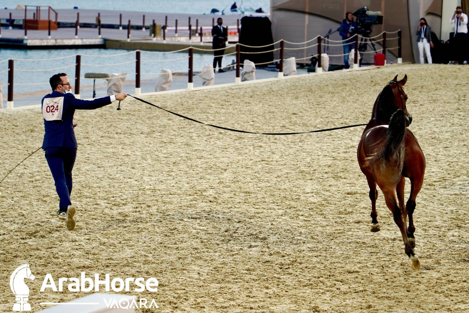 Title Show begins as part of Katara International Arabian Horse Festival