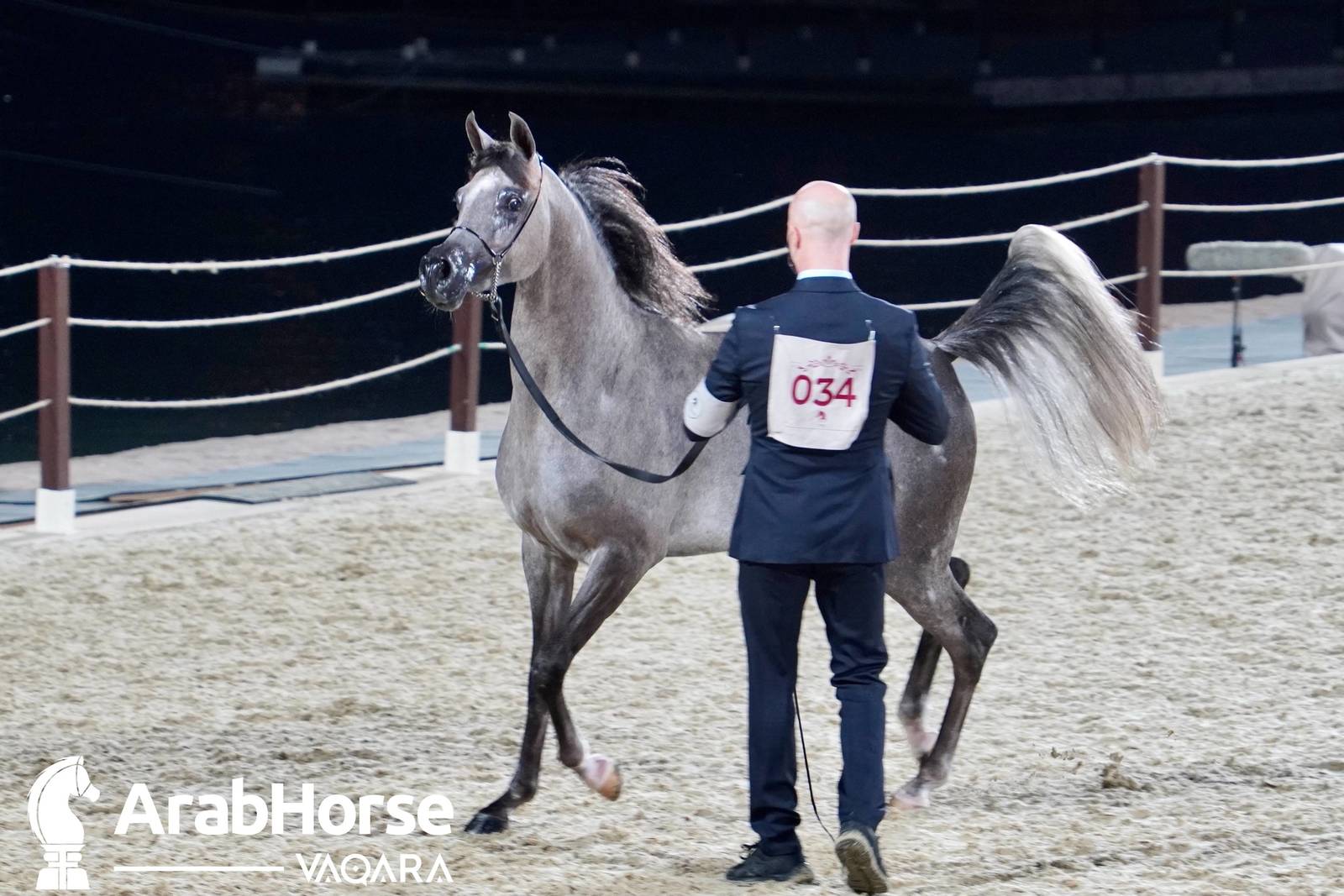 Title Show begins as part of Katara International Arabian Horse Festival