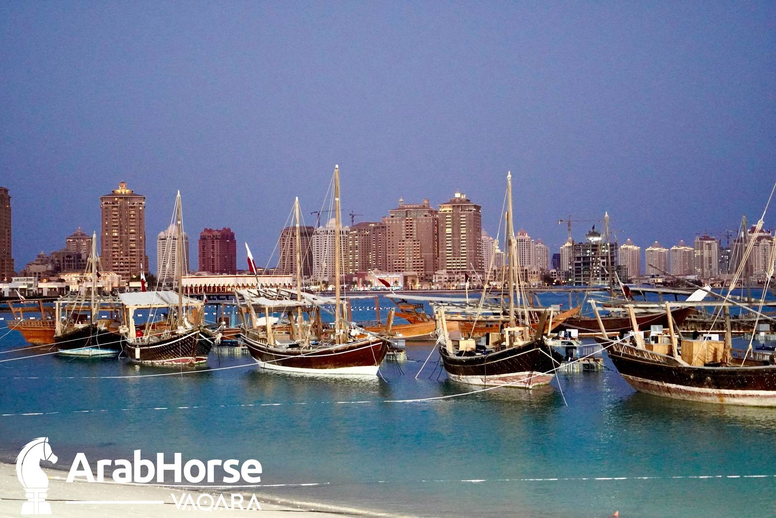 Title Show begins as part of Katara International Arabian Horse Festival