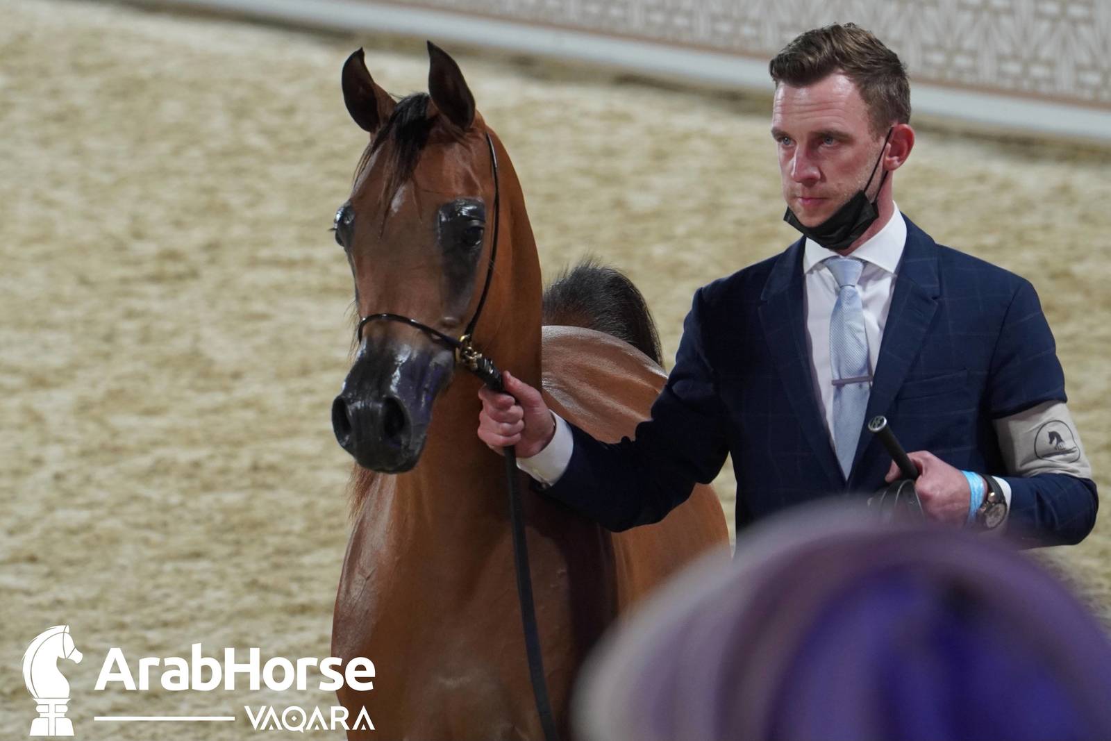 Title Show begins as part of Katara International Arabian Horse Festival
