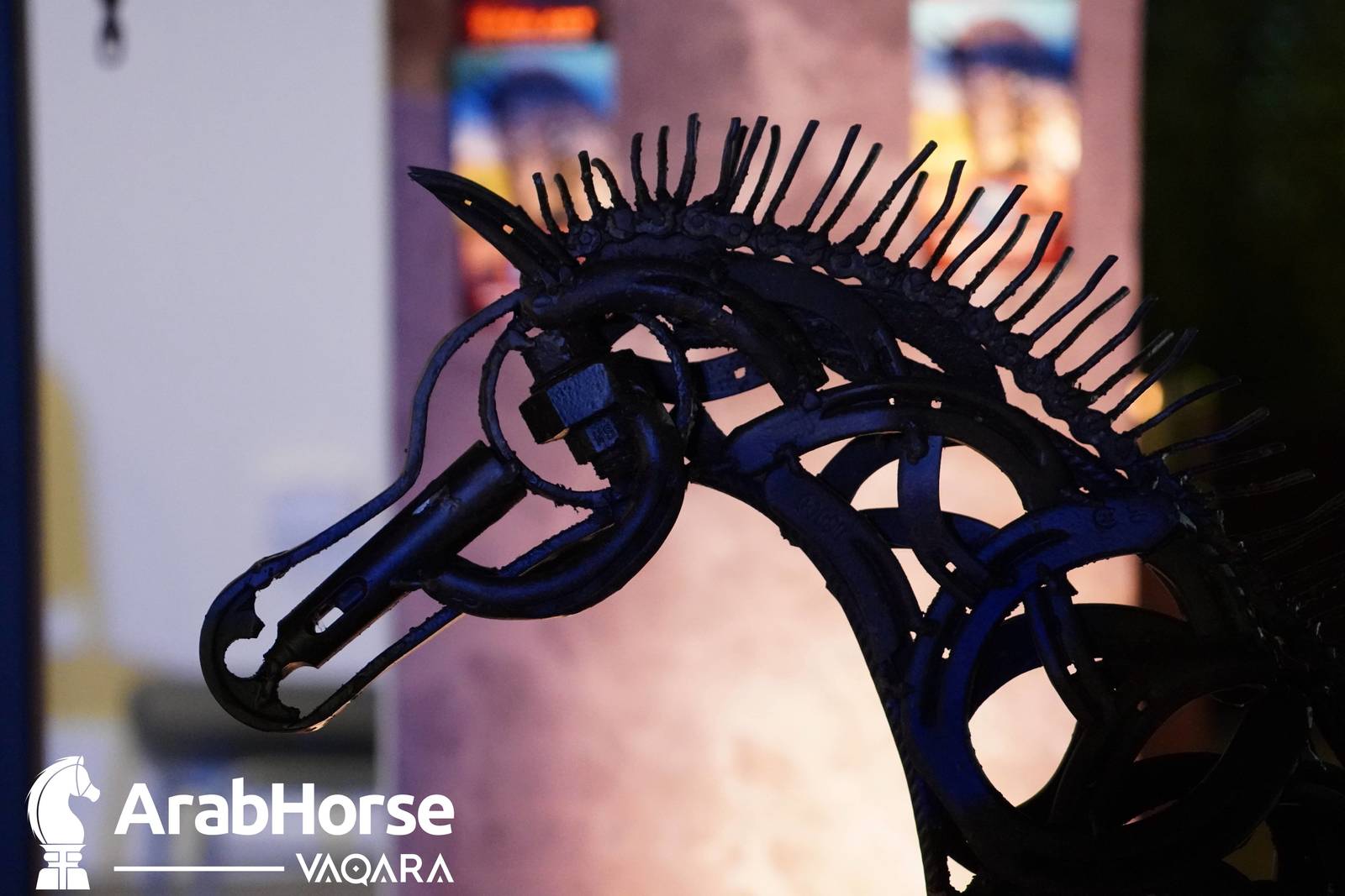 Title Show begins as part of Katara International Arabian Horse Festival