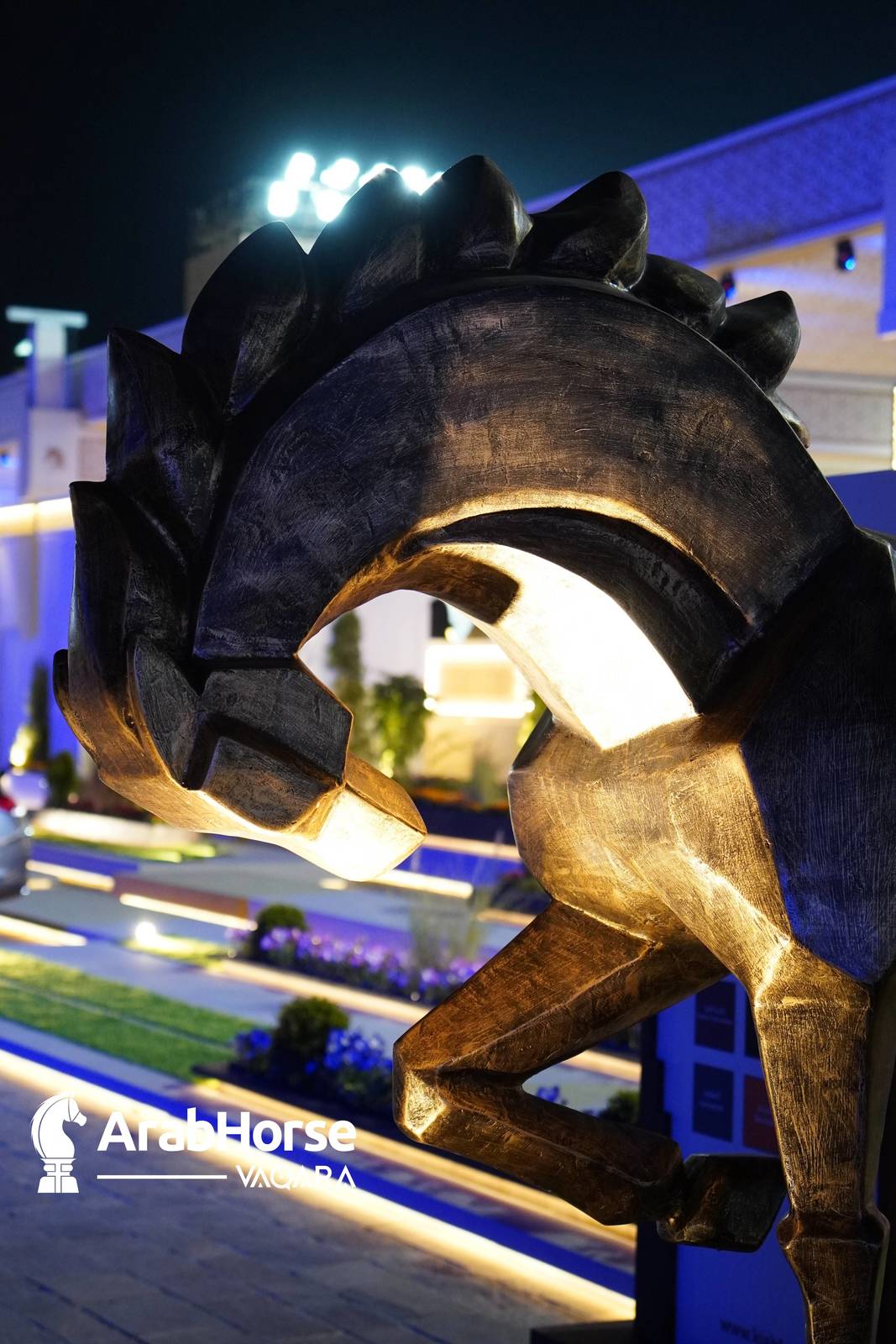 Title Show begins as part of Katara International Arabian Horse Festival