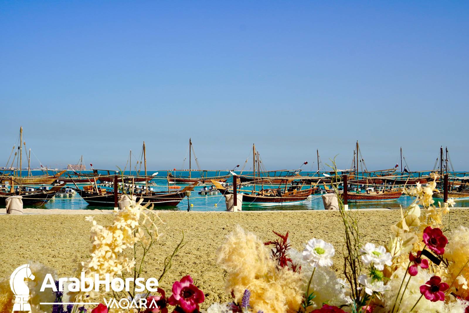 Excitement Continues Unabated During the Katara International Arabian Horse Festival