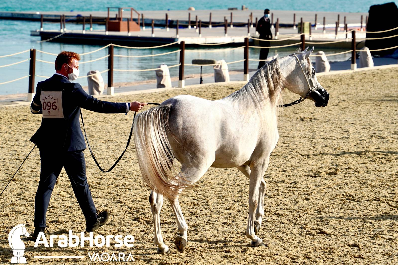 Excitement Continues Unabated During the Katara International Arabian Horse Festival