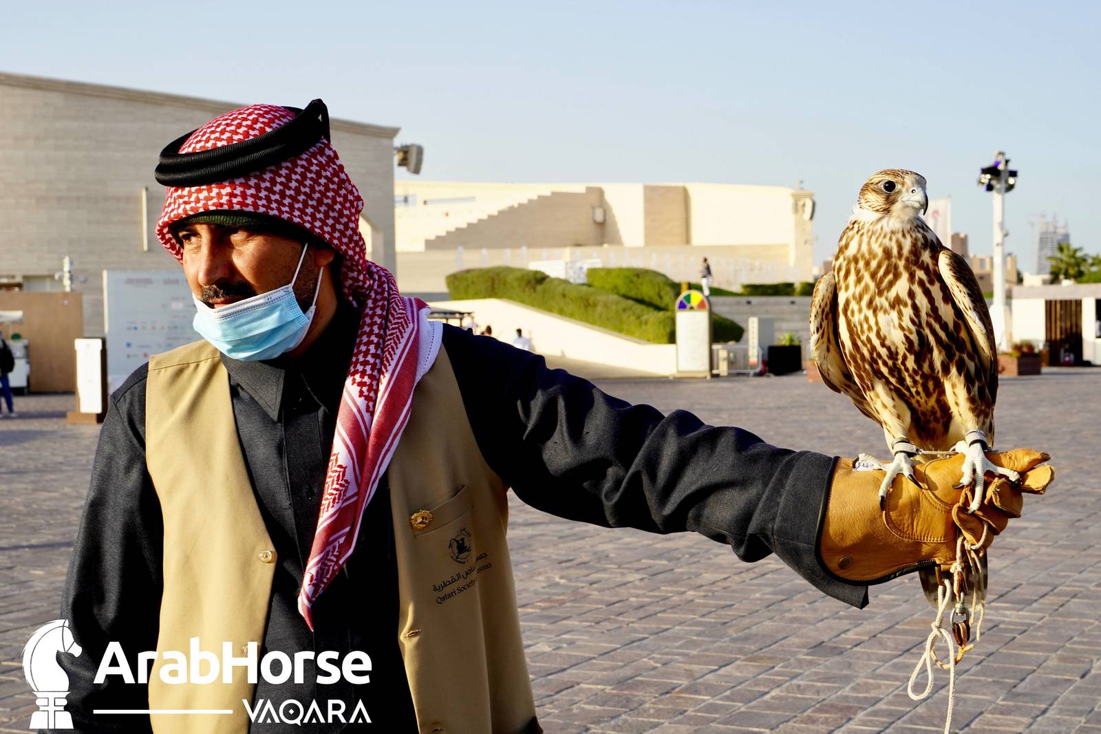 Excitement Continues Unabated During the Katara International Arabian Horse Festival