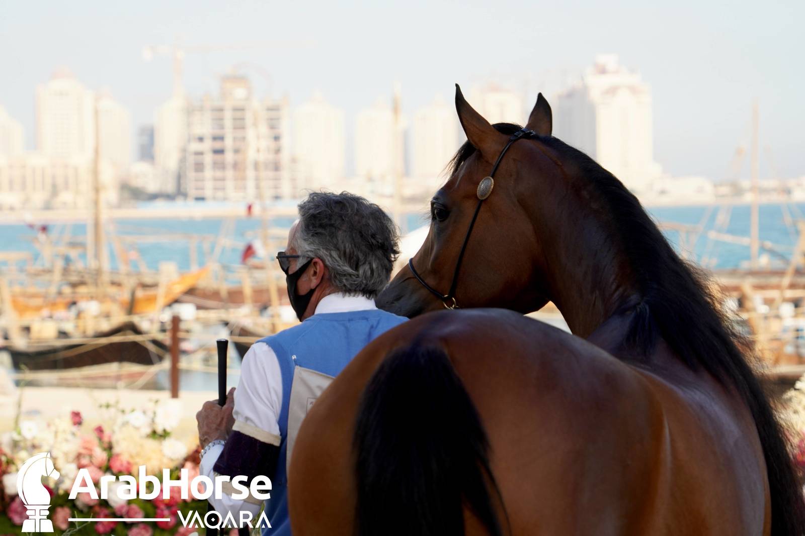 Excitement Continues Unabated During the Katara International Arabian Horse Festival