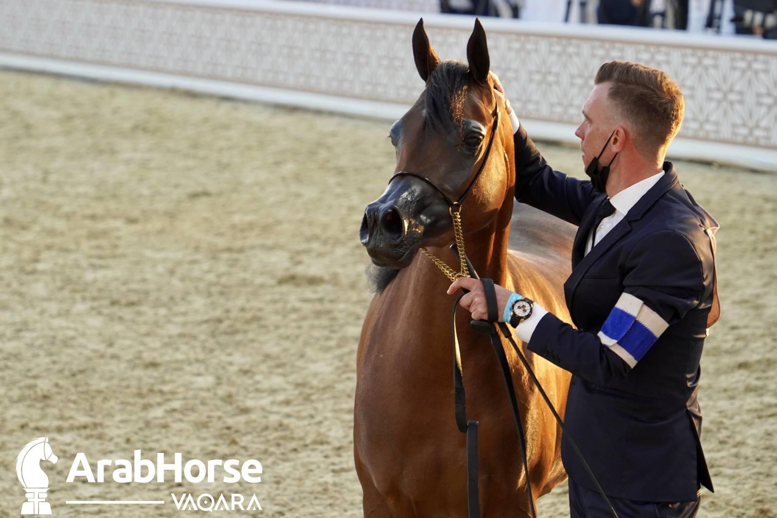 Excitement Continues Unabated During the Katara International Arabian Horse Festival
