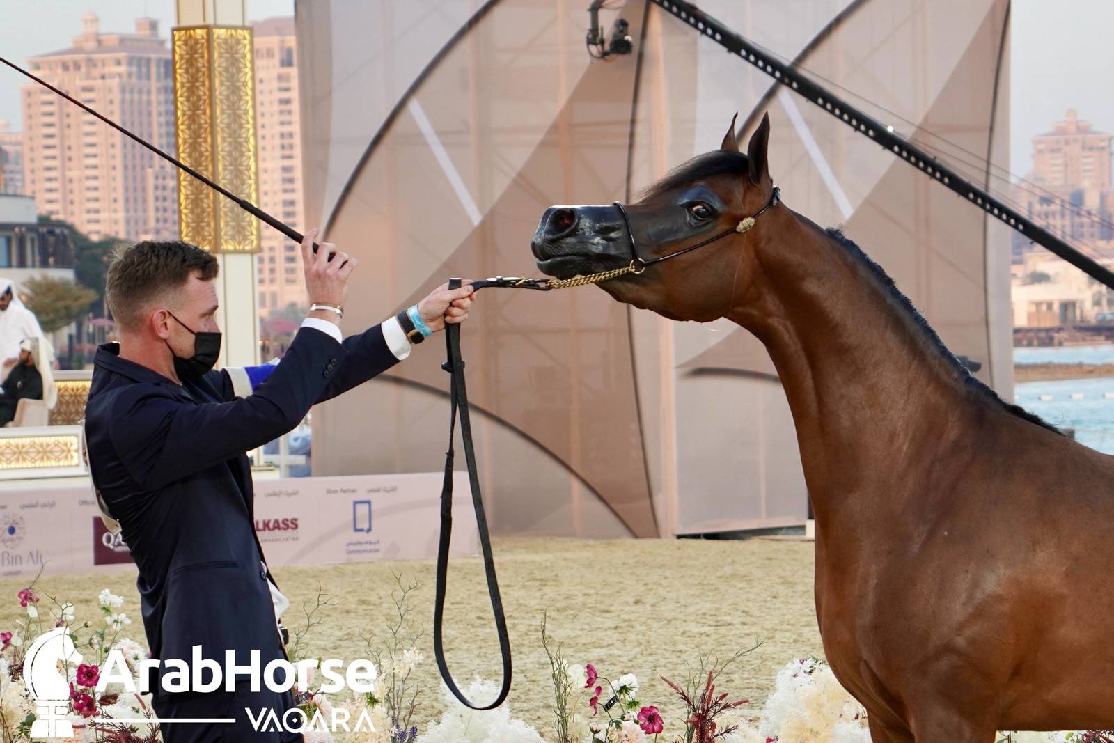 Excitement Continues Unabated During the Katara International Arabian Horse Festival