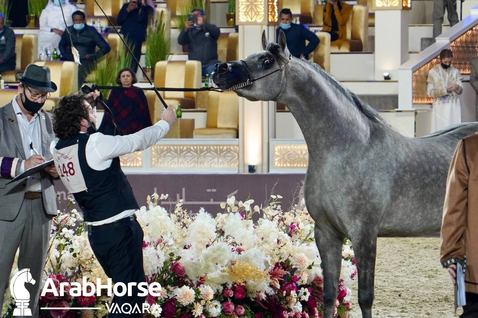 Excitement Continues Unabated During the Katara International Arabian Horse Festival
