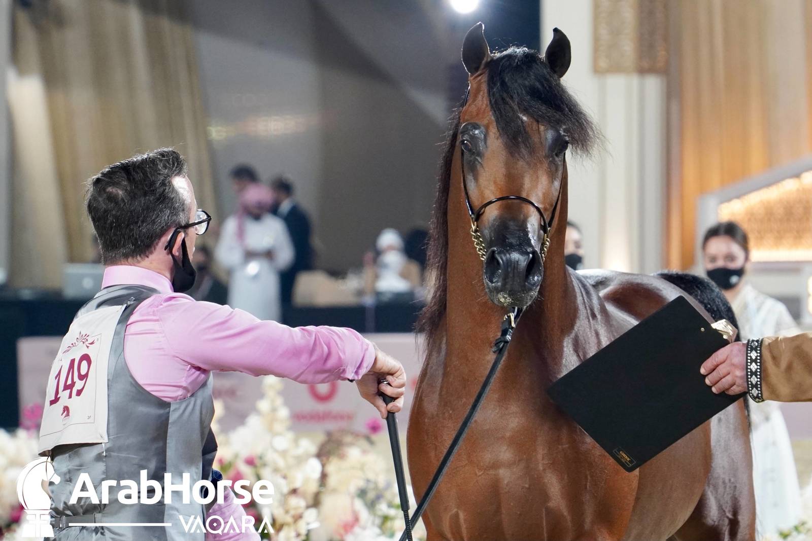 Excitement Continues Unabated During the Katara International Arabian Horse Festival