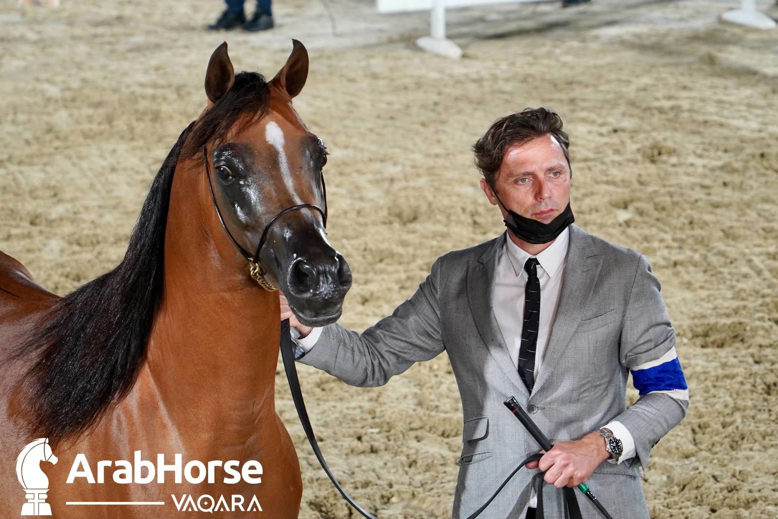 Excitement Continues Unabated During the Katara International Arabian Horse Festival