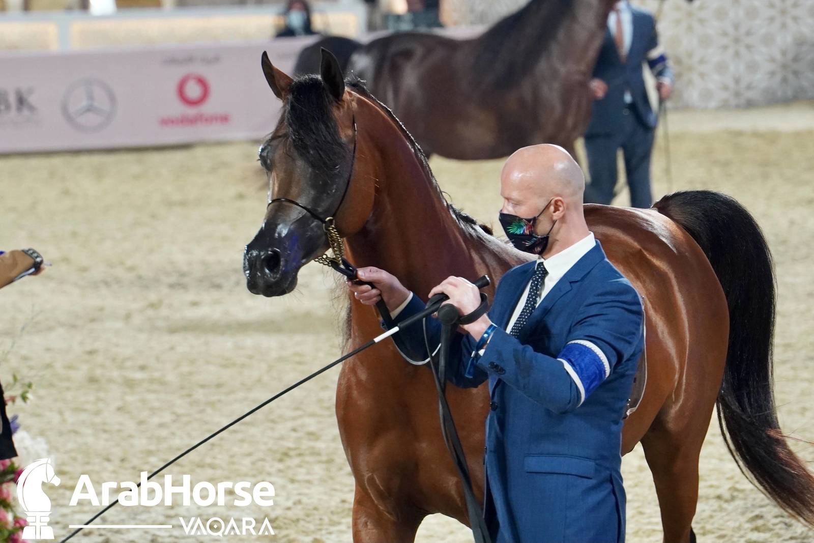 Excitement Continues Unabated During the Katara International Arabian Horse Festival